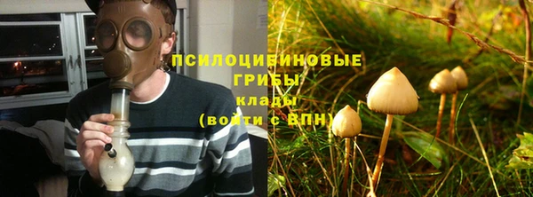Альфа ПВП Беломорск