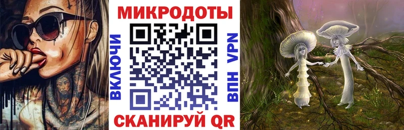 Псилоцибиновые грибы Cubensis  магазин    Купино 